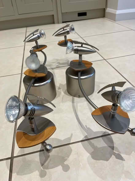 Photo of free Ceiling Lights (Brickhill MK41) #1