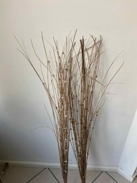 Photo of free Decorative Twigs (B92 Solihull) #2