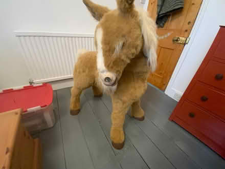 Photo of free Large toy horse (Dyke Road area BN1) #3
