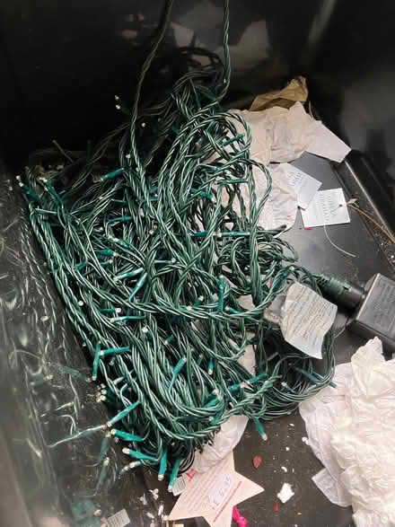 Photo of free Christmas tree lights (New Hinksey OX1) #1