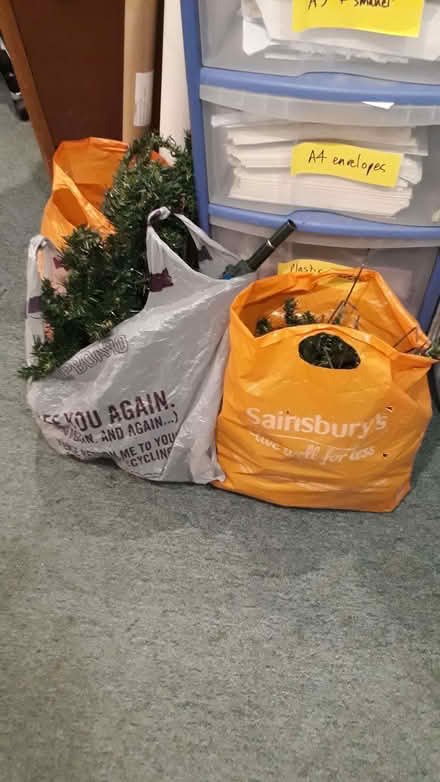 Photo of free Christmas tree (Digbeth B5) #2
