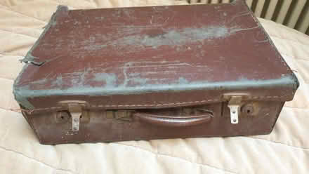 Photo of free Paddington case (Hove Green BN3) #4