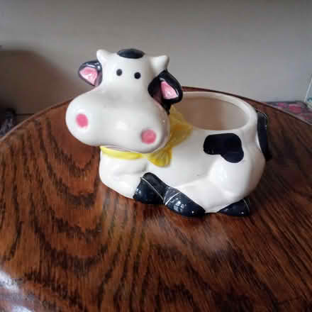 Photo of free Cow planter or container (just west of Malden Square) #1