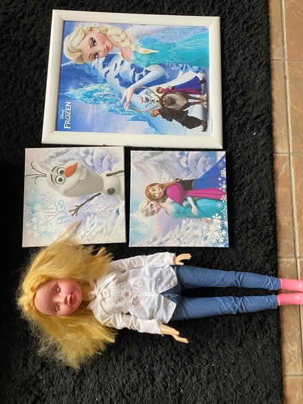 Photo of free Frozen framed posters (West Felton SY11) #2