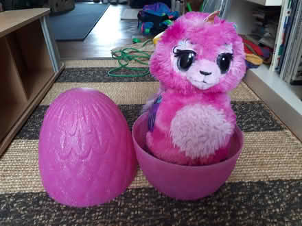 Photo of free Hatchimal toy (Stroud (central)) #1