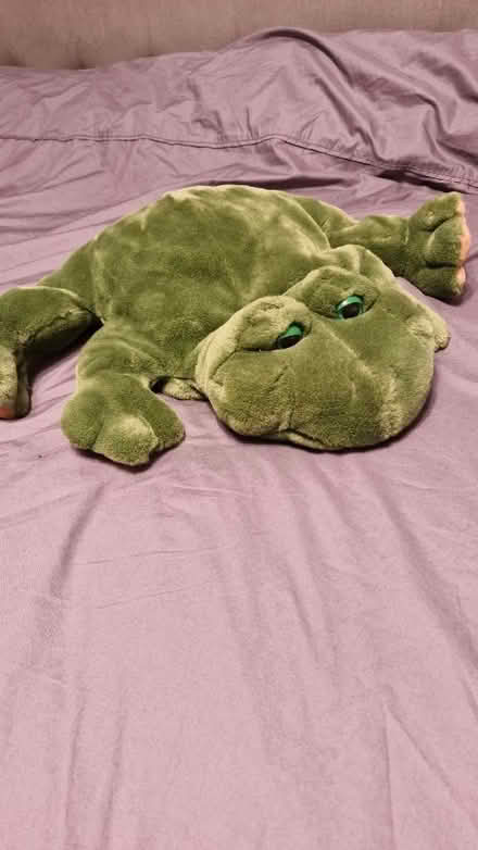 Photo of free Hot water bottle cover (Stoke Hill EX4) #1
