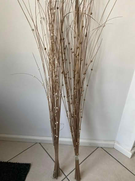 Photo of free Decorative Twigs (B92 Solihull) #1