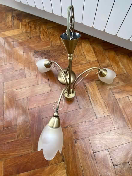 Photo of free 3 x Multi Pendant Lights (Arnside LA5) #4