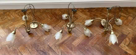 Photo of free 3 x Multi Pendant Lights (Arnside LA5) #1