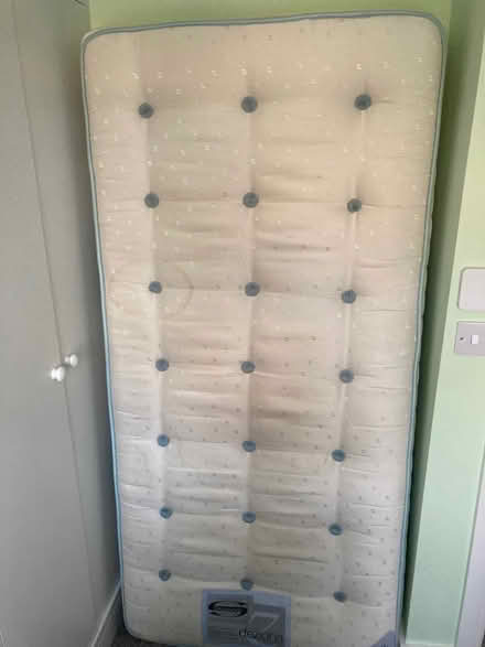 Photo of free Single pine bed with mattress (Fleetville AL4) #2