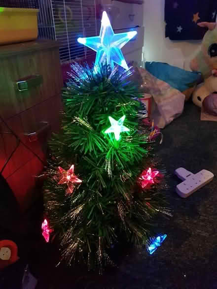 Photo of free Fibre optic Christmas tree (Garretts Green B33) #2
