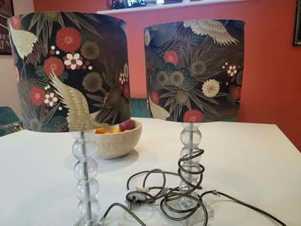 Photo of free Matching Lamps (2) (Chelmsford CM1) #1