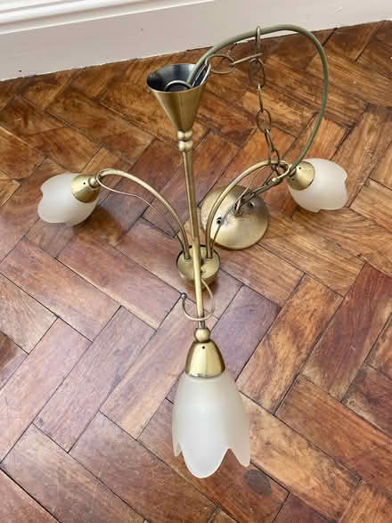 Photo of free 3 x Multi Pendant Lights (Arnside LA5) #2