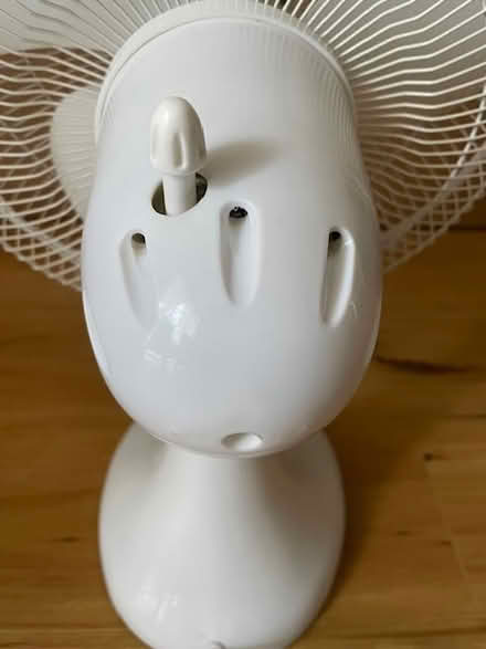 Photo of free Mistral desk fan (Bundoora) #3