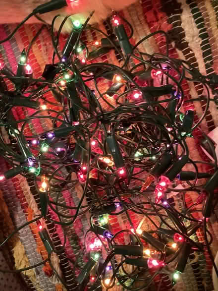 Photo of free Christmas coloured lights (Southport PR9) #1