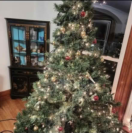 Photo of free 7 foot Christmas tree w/ lights (Red Hook, NY) #1