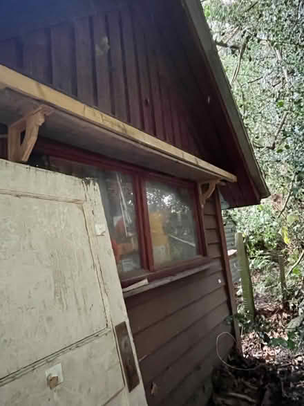 Photo of free Garden shed (Tunbridge Wells TN2) #4