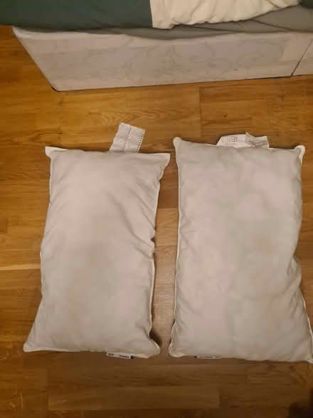 Photo of free 2 lumpy pillows (E14 9FF) #1
