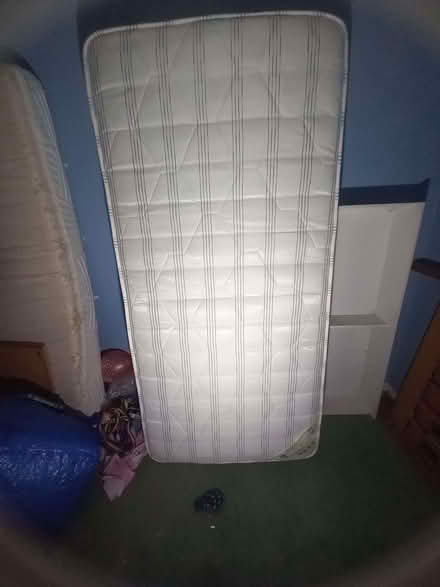 Photo of free Matress, Single, Shire Quilt brand, plus bed if (Lewes BN7) #3