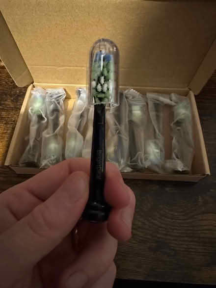 Photo of free Philips SonicCare Toothbrush Heads (Hitchin) #4