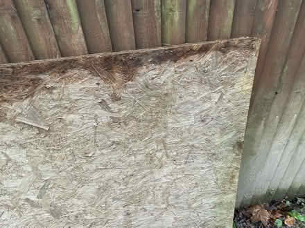 Photo of free 4’ x 8’ Builders boards waterproof (Reigate RH2 9JN) #2