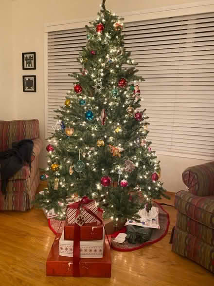 Photo of free Christmas tree in carrying bag (Midtown Terrace) #2