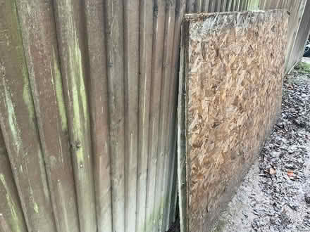Photo of free 4’ x 8’ Builders boards waterproof (Reigate RH2 9JN) #3