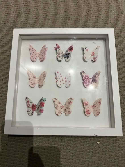 Photo of free Box butterfly picture - 30 x 30 cm (GU51) #1