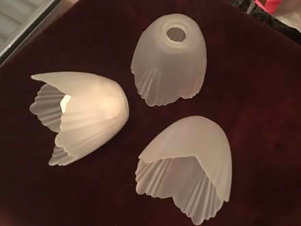 Photo of free 3 glass shades (Ware SG12) #1