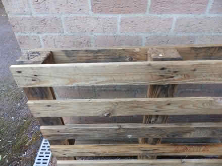 Photo of free Palett (Stowmarket (IP14)) #2