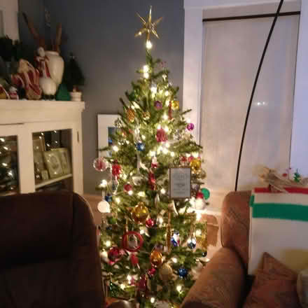 Photo of free 6' artificial Christmas tree (Richmond, North & East.) #2