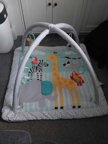 Photo of free Babyzee baby playgym (Sheffield S8 Woodseats) #1