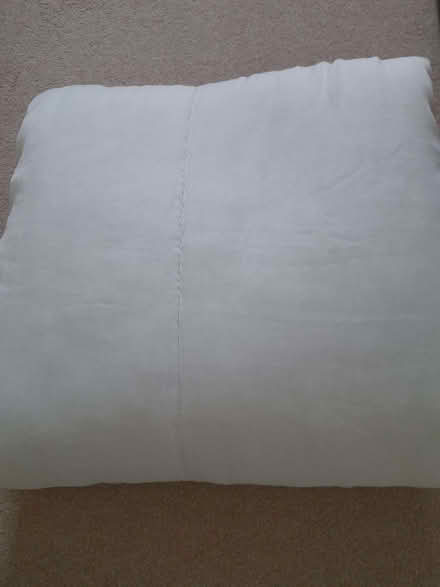 Photo of free Single quilt (Tutbury DE13) #2