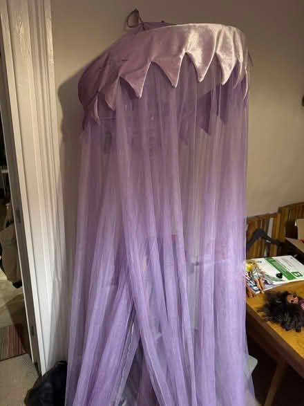 Photo of free Purple princess canopy (Oldfield Park) #1