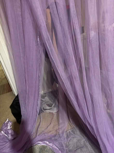 Photo of free Purple princess canopy (Oldfield Park) #2
