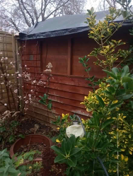 Photo of free Large shed (Abingdon Oxfordshire) #1