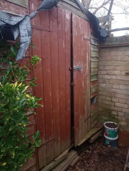 Photo of free Large shed (Abingdon Oxfordshire) #2