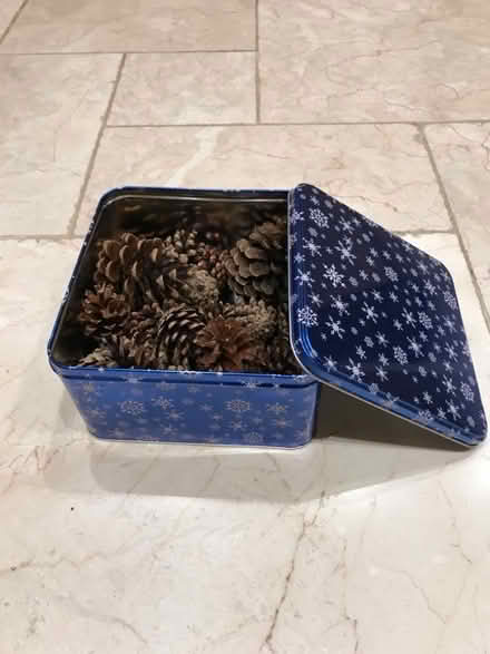 Photo of free Christmas tin + pine cones (Spacey Houses HG3) #1