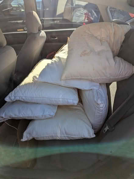 Photo of free Crafters alert: 6+ older pillows (Near Arlington HS) #1