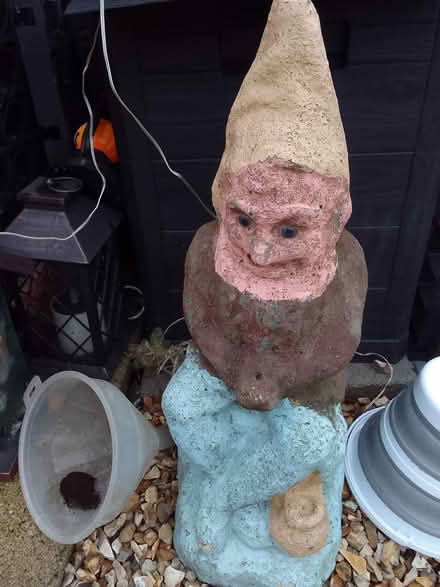 Photo of free garden gnome (mansfield woodhouse NG19) #1