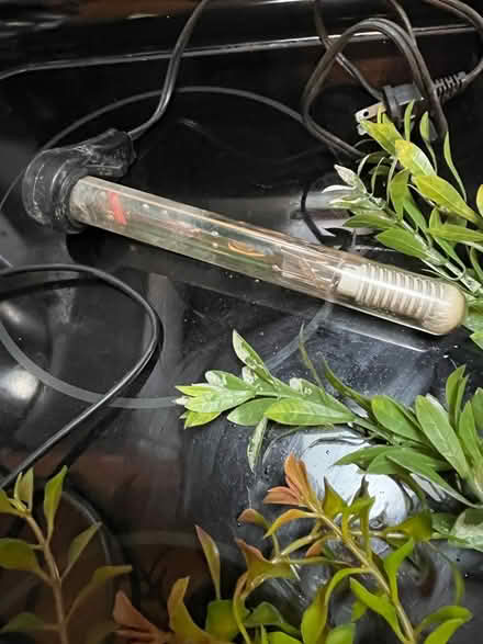 Photo of free Aquarium stuff (Upper Silver Spring) #2