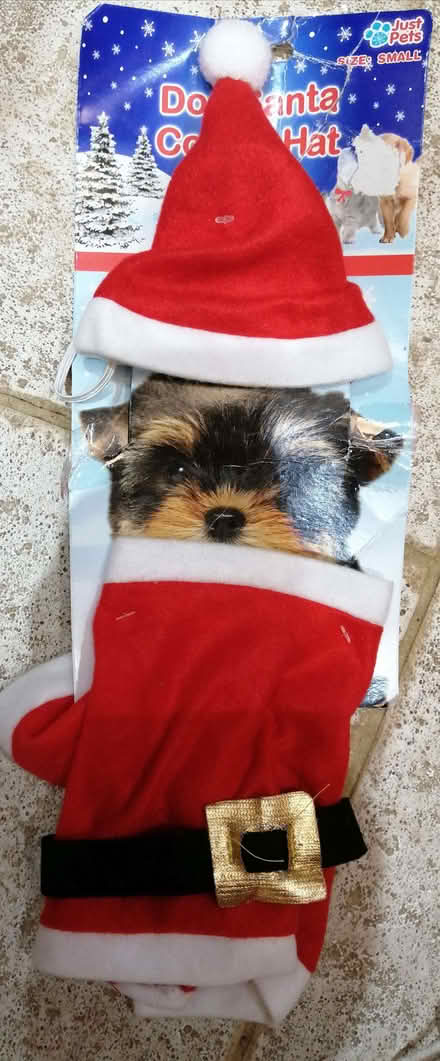 Photo of free 4 x Small Dog Novelty Christmas Outfits (Tyseley B11) #4