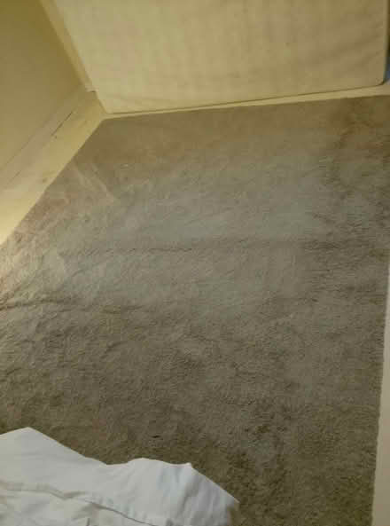 Photo of free Grey rug 2x3 meters (N5 Highbury) #1