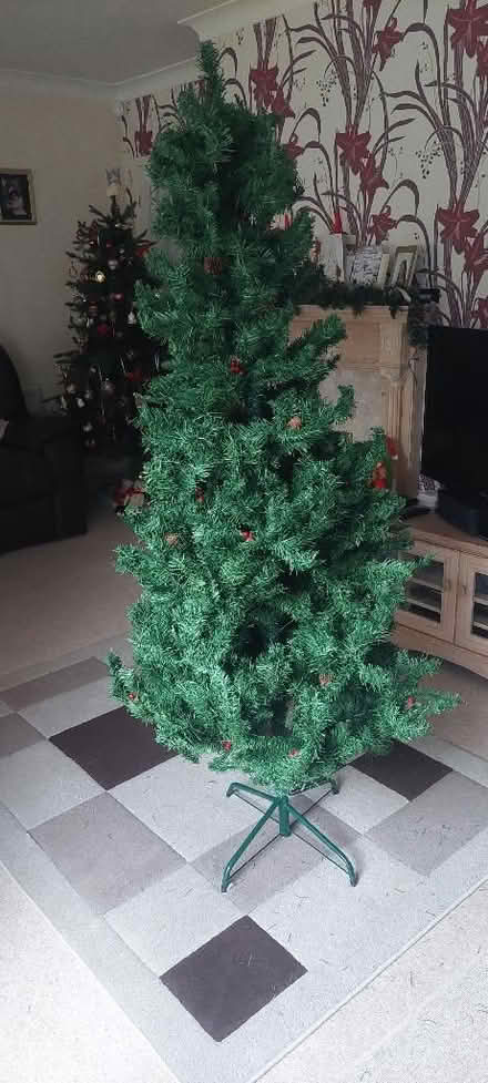 Photo of free Christmas Tree (Hawley GU17) #1