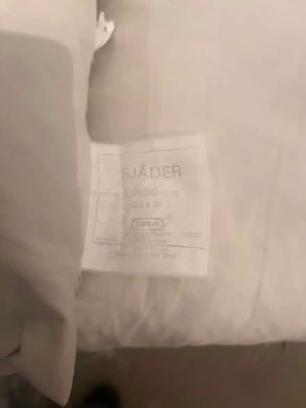 Photo of free Two Ikea Fjader feather pillows (Glasgow G20) #3