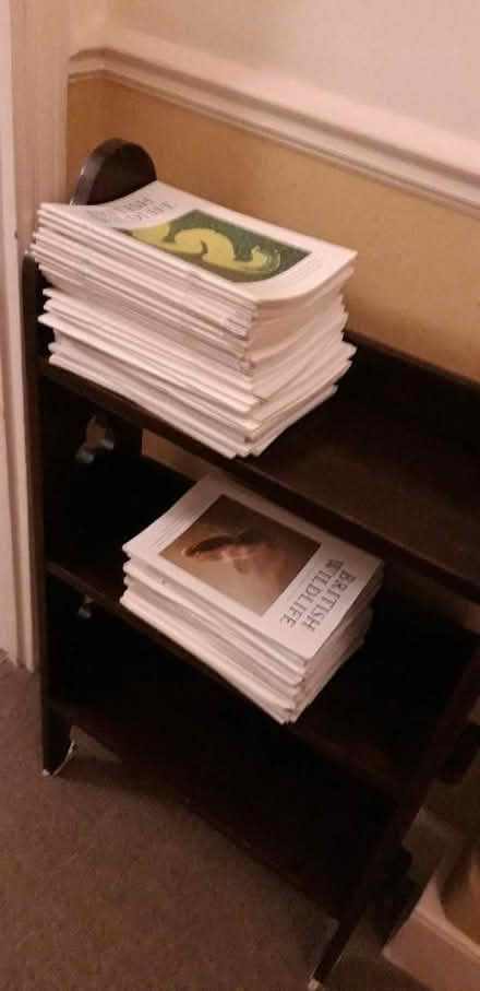 Photo of free Many back issues of British Wikdlife magazine (Highbury Barn N5) #1