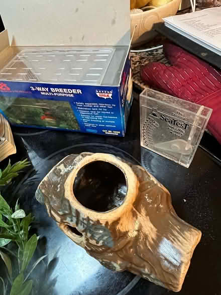 Photo of free Aquarium stuff (Upper Silver Spring) #4