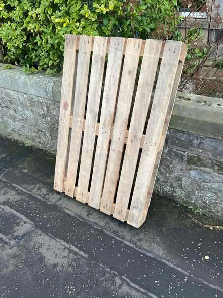 Photo of free Pallet - standard, good condition (Craiglockhart EH14) #1