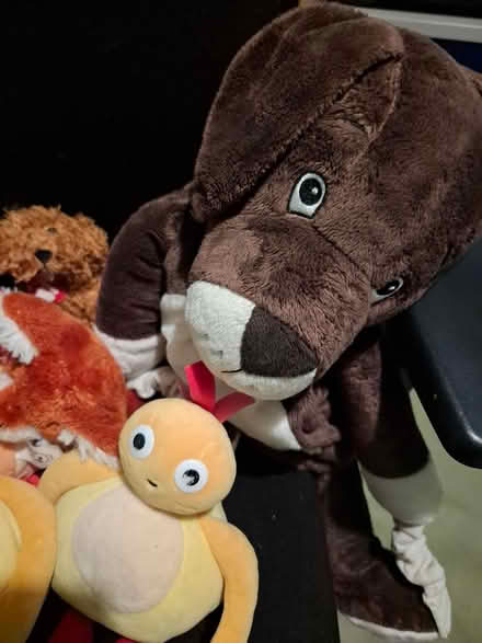 Photo of free Twirlywoos and other soft toys (Leith EH6) #4