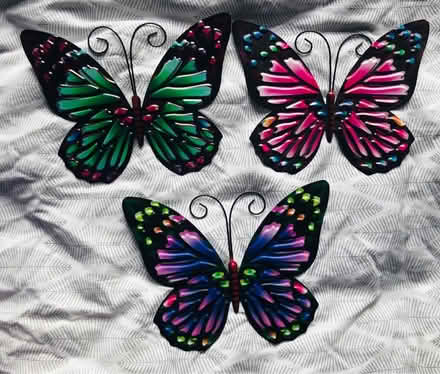Photo of free Butterfly decorations (Cripps Corner Rd TN32) #1